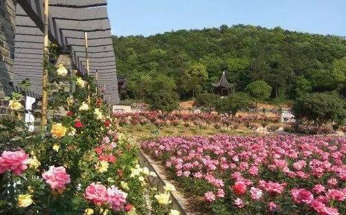 Wuxi Longsi Shitai Park Play Guide